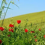 Casale Il Picchio *