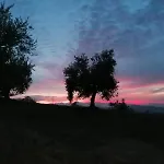 Casale Il Picchio Appartement *