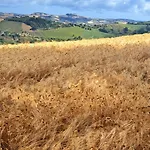 Casale Il Picchio