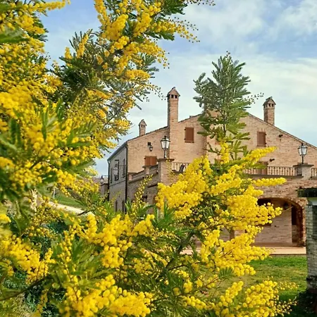 Appartamento Casale Il Picchio Monterubbiano