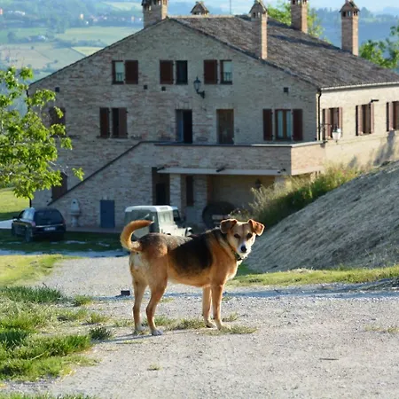 Appartamento Casale Il Picchio