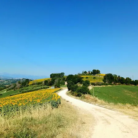 شقة Casale Il Picchio Monterubbiano