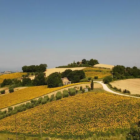 Casale Il Picchio Apartman