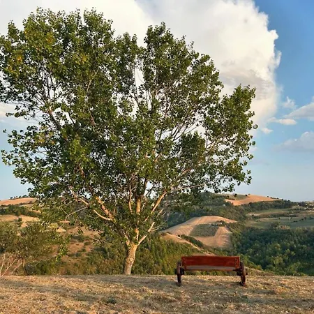 Casale Il Picchio Appartamento