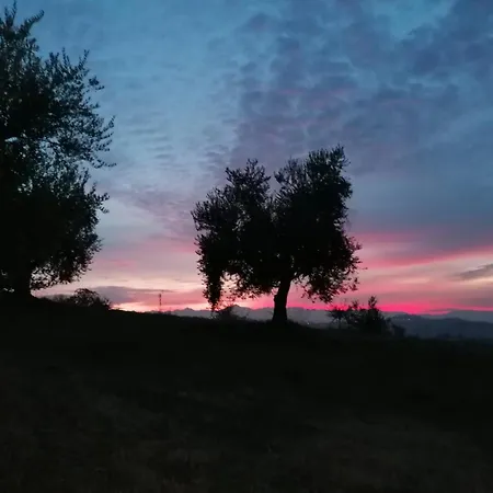 Casale Il Picchio شقة *