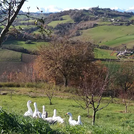 Casale Il Picchio Appartamento Monterubbiano