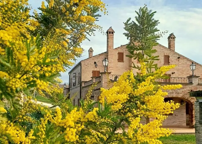 Apartman Casale Il Picchio Monterubbiano