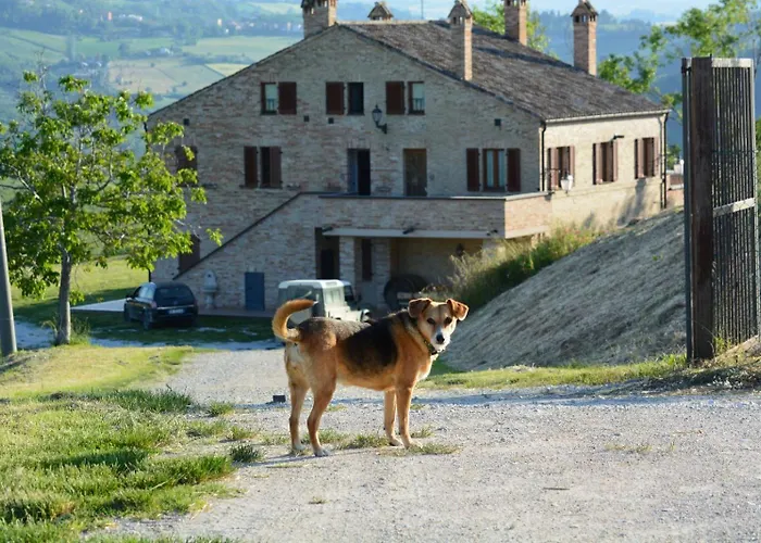 Apartman Casale Il Picchio