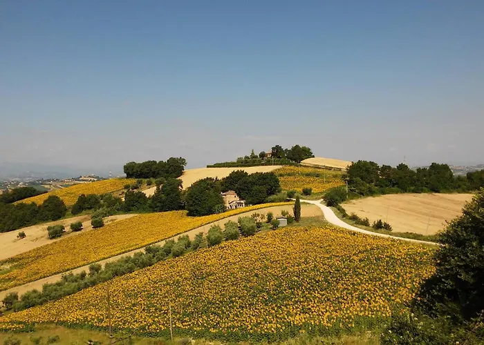 Casale Il Picchio Apartman