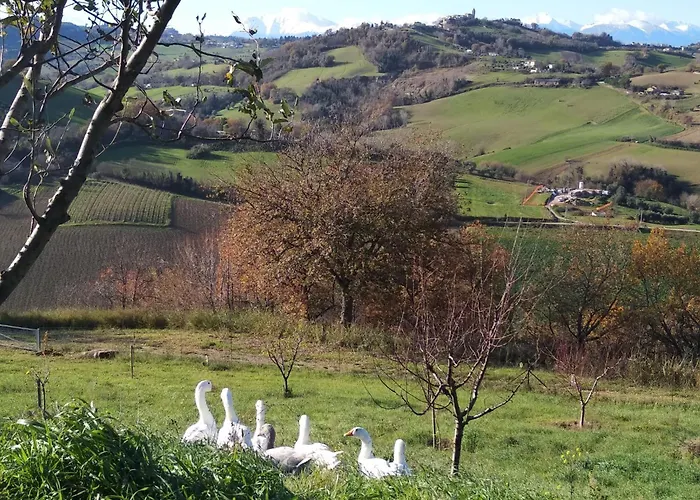 Casale Il Picchio Apartman Monterubbiano